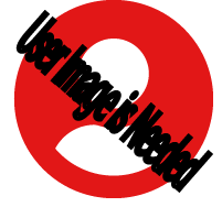 post author image